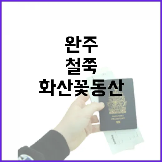 완주 화산꽃동산 철쭉 만개 풍경