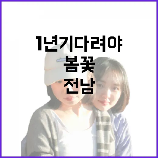 전남 봄꽃 만끽, 1년 기다려야