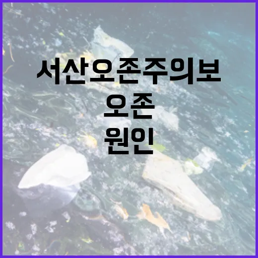 서산 오존주의보, 원인과 대응 강화