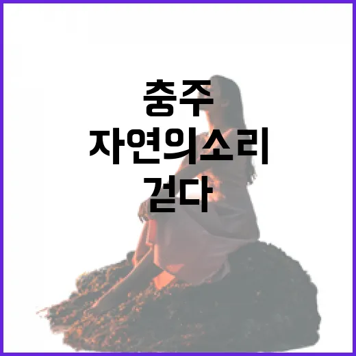 충주 비내섬, 자연의 소리와 함께 걷다