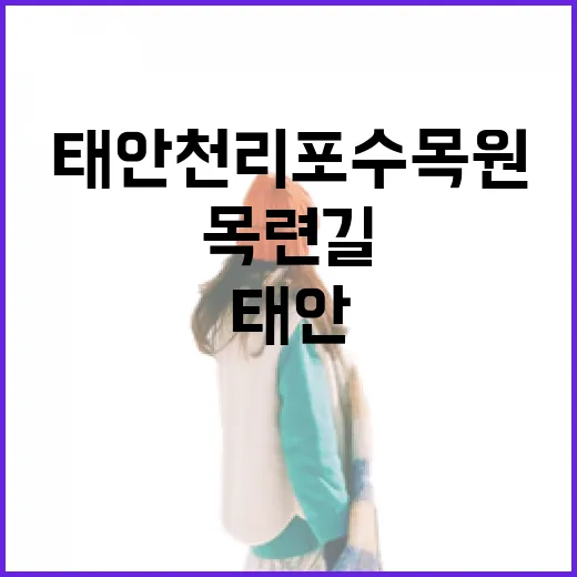 태안 천리포수목원 목련길 산책