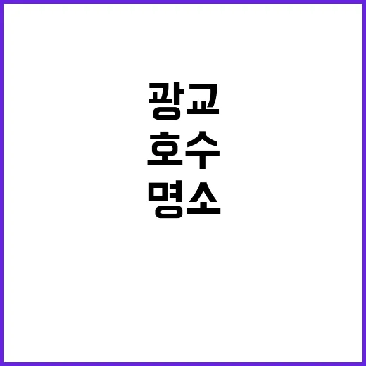 광교푸른숲도서관, …