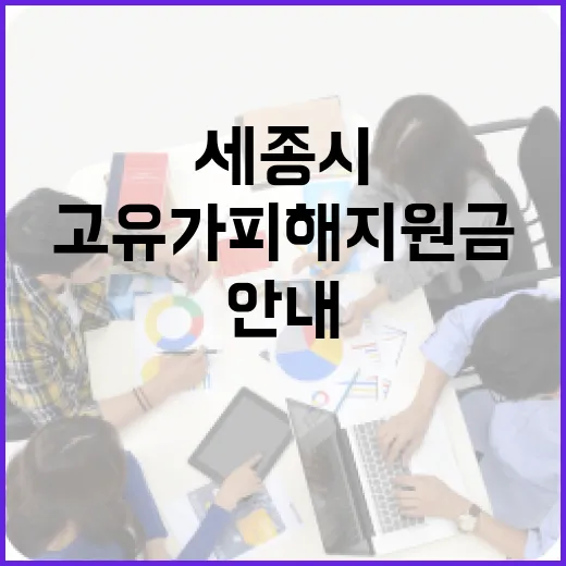 세종시 고유가 피해지원금, 최대 60만원 지급 안내