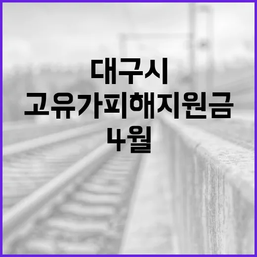 대구시 고유가 피해지원금 4월 신청 시작