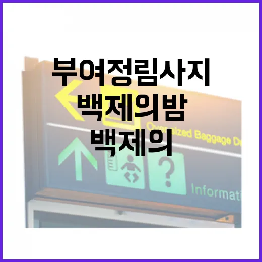 부여 정림사지에서 만나는 백제의 밤