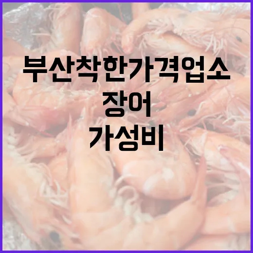 부산 착한가격업소, 가성비 장어와 집밥 맛집