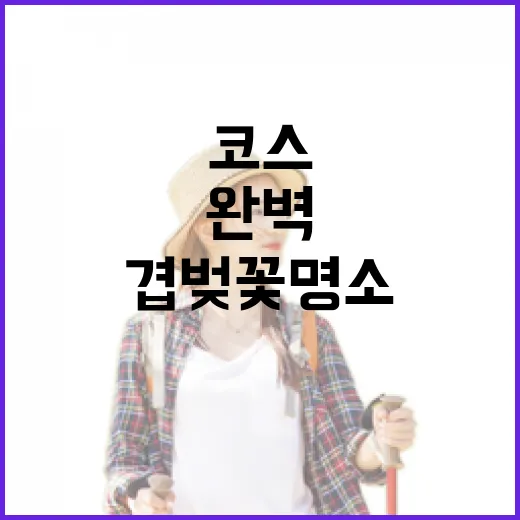 서산 겹벚꽃 명소 완벽 코스