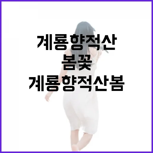 계룡 향적산 봄꽃 축제 현장