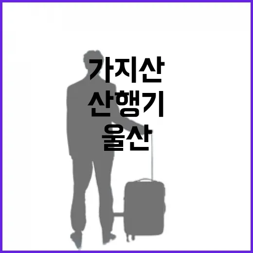 울산 가지산 봄철 철쭉 산행기