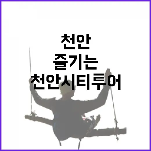 천안 시티투어로 즐기는 빵과 체험의 하루