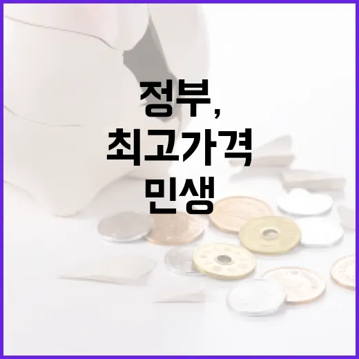 정부, 민생 최우선 최고가격 신중 결정
