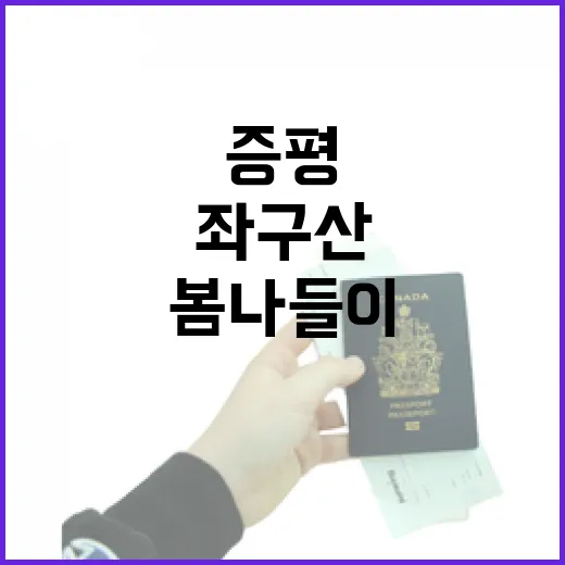 증평 좌구산 명상구름다리 봄나들이 명소