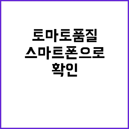 스마트폰으로 토마토…