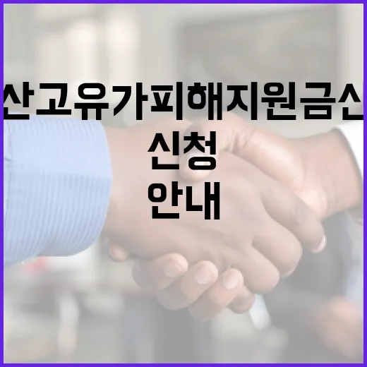 울산 고유가 피해지원금 신청과 사용 안내