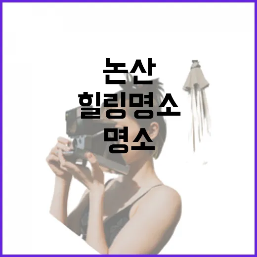 논산 열린도서관, 예술 공간 같은 힐링 명소