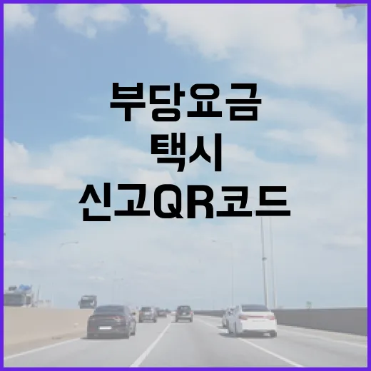 서울 외국인 택시 부당요금 신고 QR코드 활용법