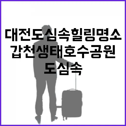 대전 도심 속 힐링 명소, 갑천생태호수공원