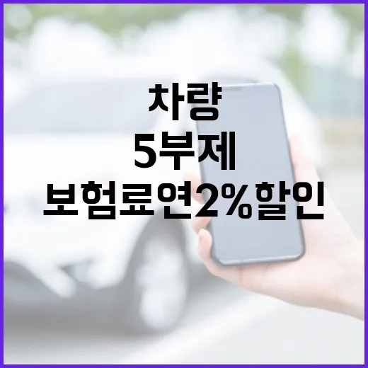 5부제 참여 차량 보험료 연 2% 할인 혜택