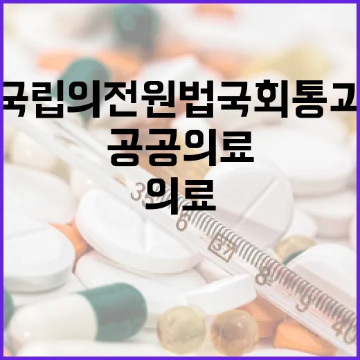 전북 공공의료 혁신, 국립의전원법 국회 통과