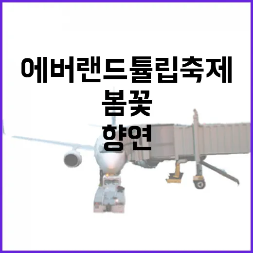 에버랜드 튤립 축제, 봄꽃 향연의 현장