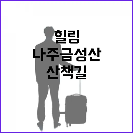 나주 금성산 봄 산책길 힐링 체험