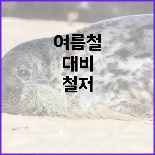 여름철 도시침수 철저 대비 나선다