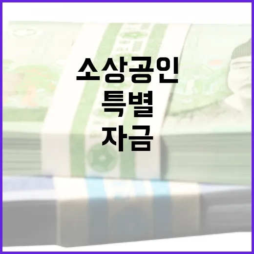 소상공인 지원 3200억 특별자금 확대