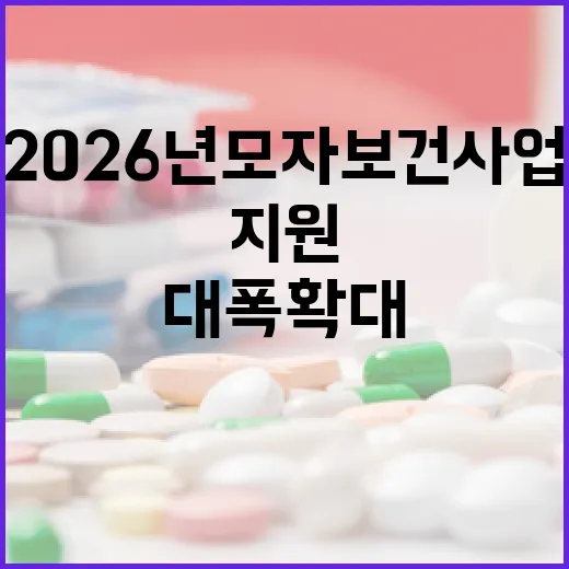 2026년 모자보건사업 지원 대폭 확대