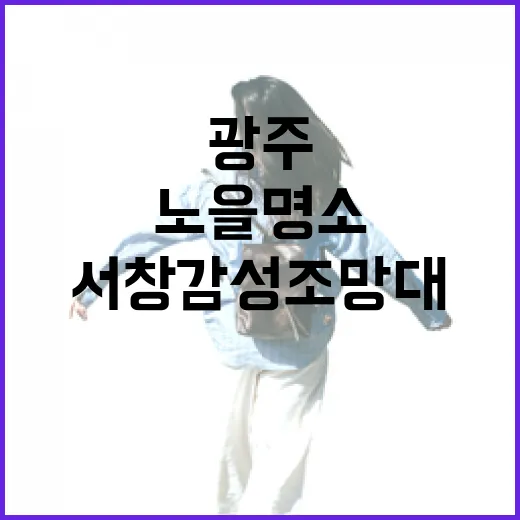 광주 서창감성조망대 노을 명소