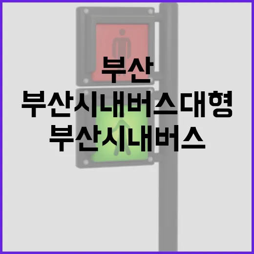 부산 시내버스 대형 캐리어 반입 시범운영