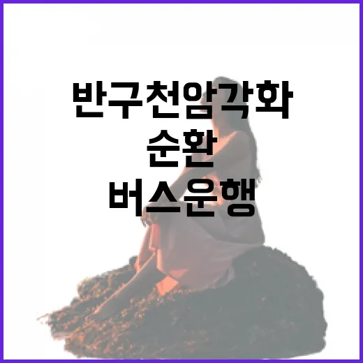 반구천 암각화 무료 순환버스 운행 시작