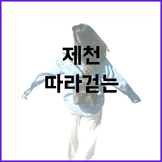 제천 따라 걷는 세종 봄 산책길