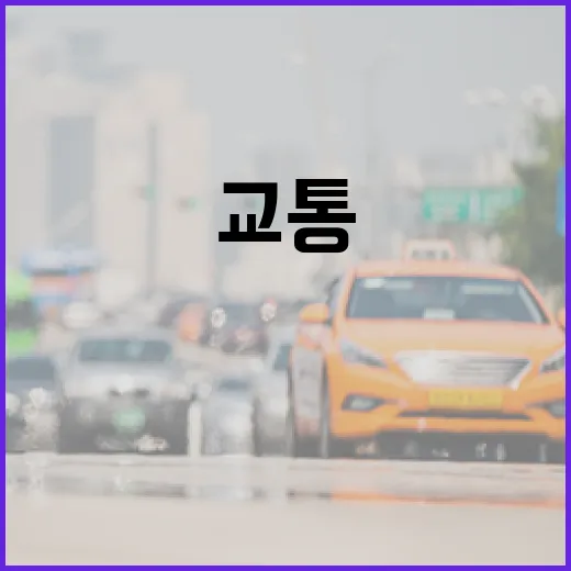 대전 트램, 교통 혁신의 새 길 열다