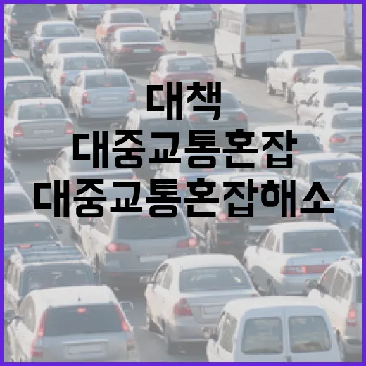 대중교통 혼잡 해소 위한 32개 대책 발표