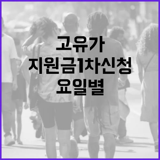 충남 고유가 지원금 1차 신청 요일별 안내