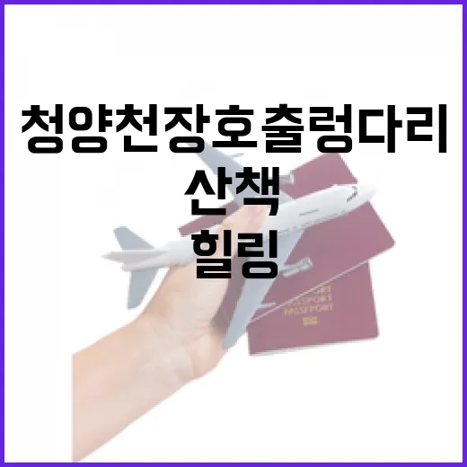 초여름 청양 천장호 출렁다리 힐링 산책