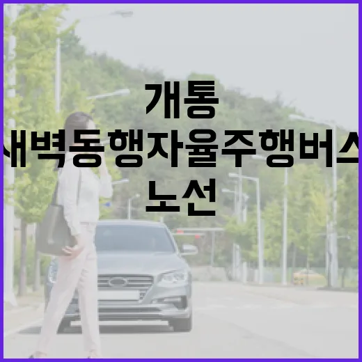 서울 새벽동행 자율주행버스 A504 노선 개통