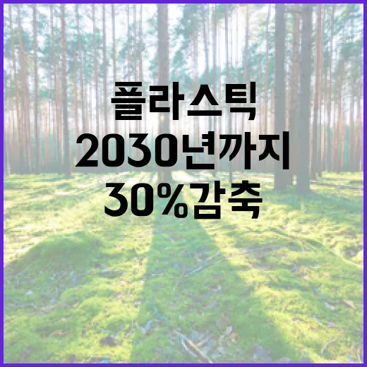 2030년까지 플라스틱 30% 감축 추진
