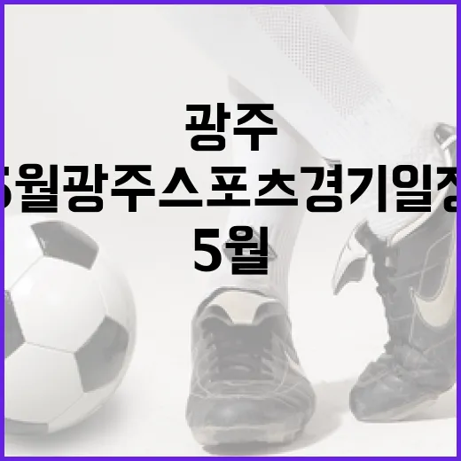 5월 광주 스포츠 경기 일정 총정리