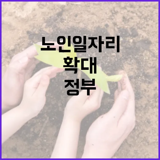 노인일자리, 참여 확대 위한 정부의 진심