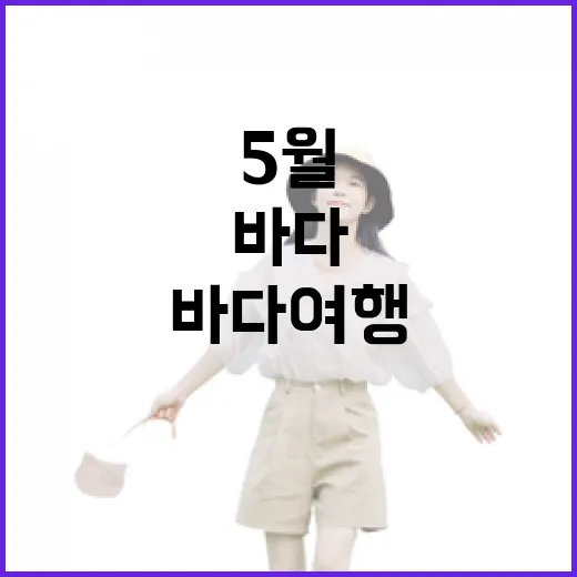 5월 바다 여행, 특별한 체험과 할인 혜택
