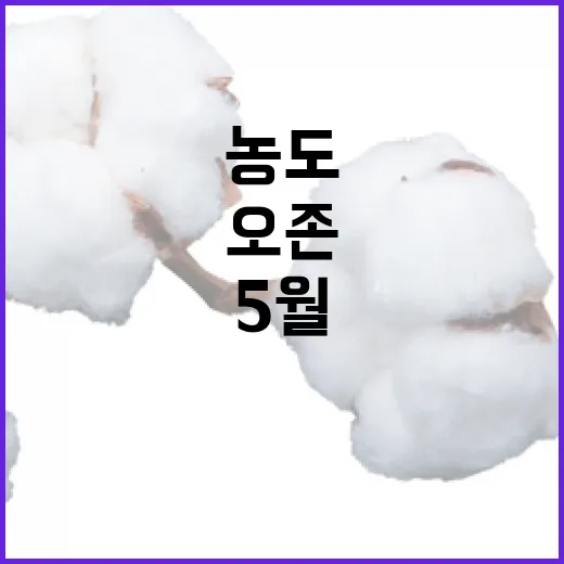 5월부터 오존 추정농도 영상 서비스 시작