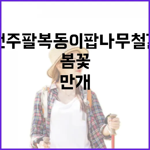 전주 팔복동 이팝나무 철길 봄꽃 만개 소식