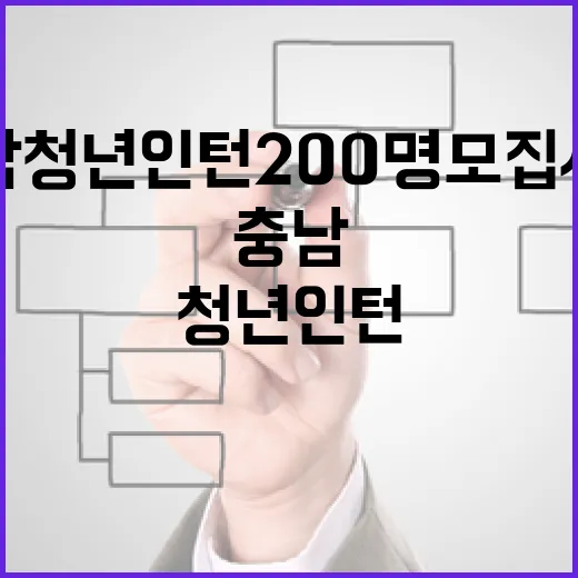 충남 청년인턴 200명 모집 시작