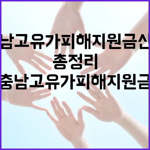 충남 고유가 피해지원금 신청 총정리