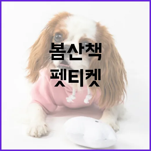 봄 산책, 펫티켓으로 즐거움 더하기
