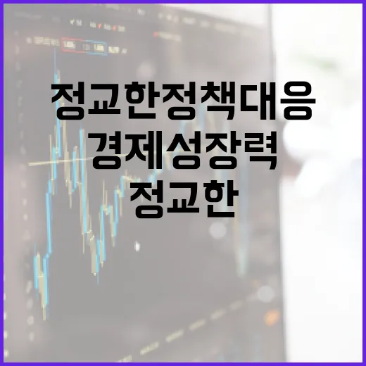 경제 성장력 지키는 정교한 정책 대응