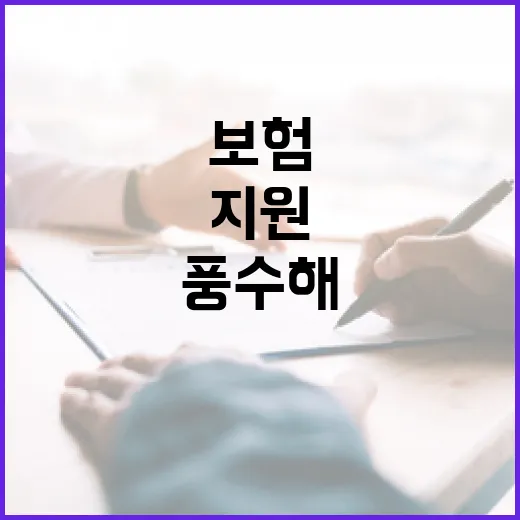 제주시 풍수해·지진재해보험 가입 지원