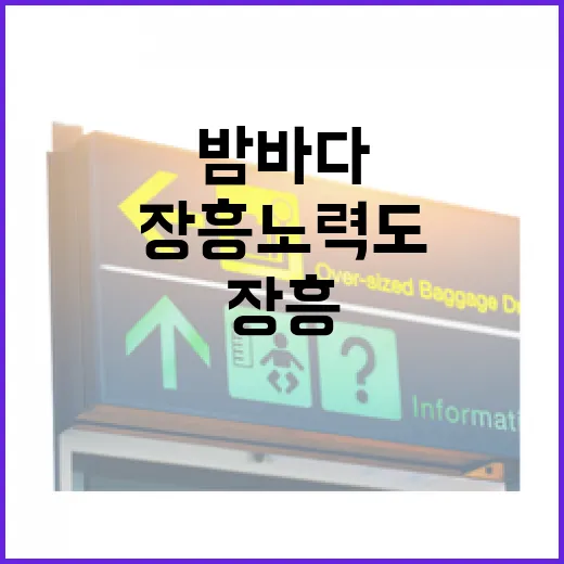 장흥 노력도, 밤바다의 고요한 매력