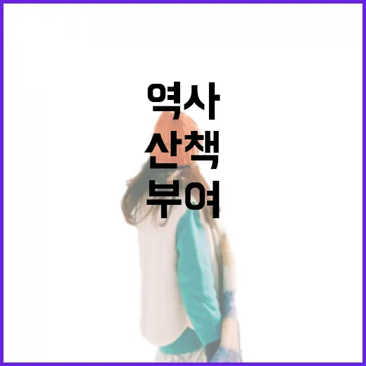 부여 관북리유적, 백제 역사 산책 명소